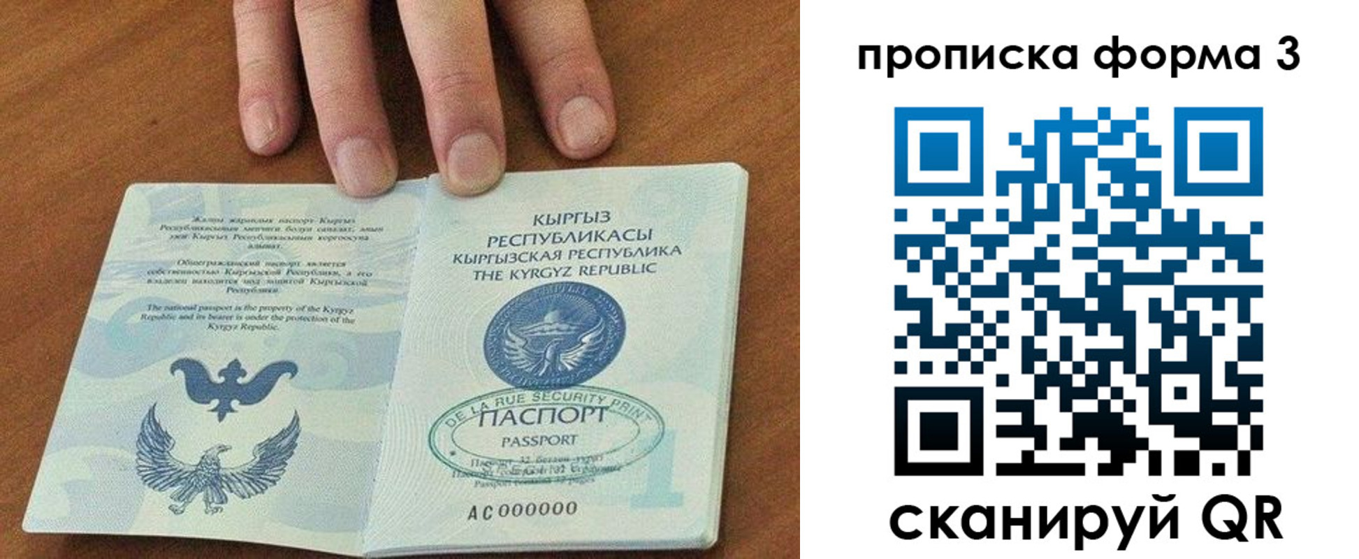 регистрация в Осе